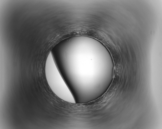 X0000094341298200711021142