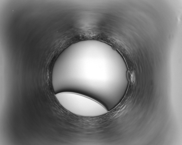 X0000094341299200711021142