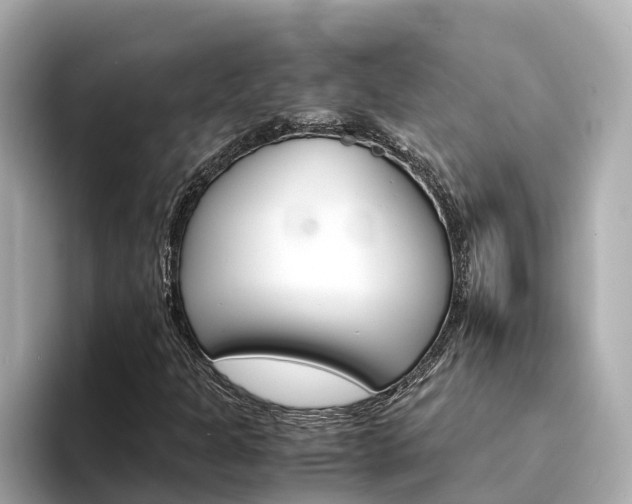 X0000094341301200711021142