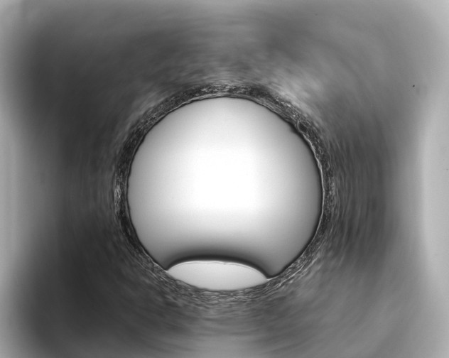 X0000094341302200711021142