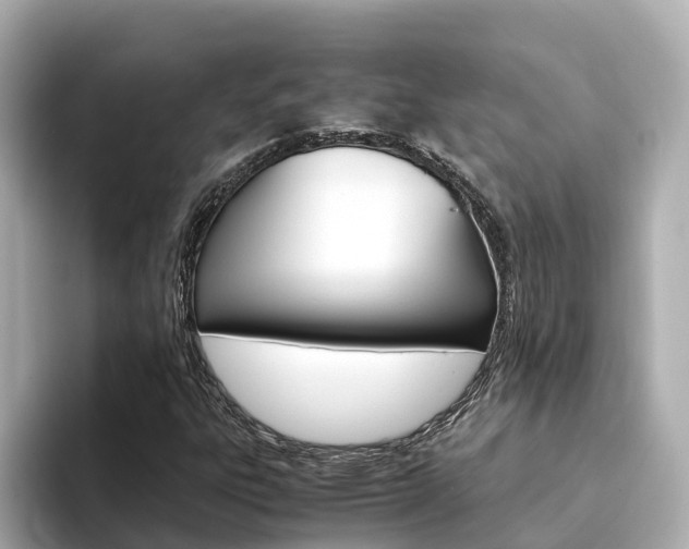 X0000094341303200711021142