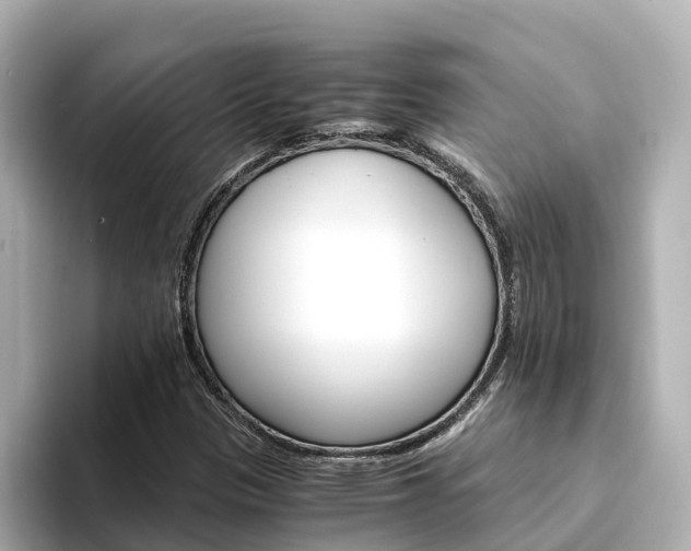 X0000094341305200711021142