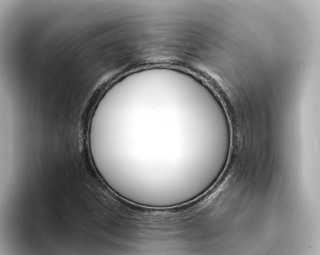 X0000094341306200711021142