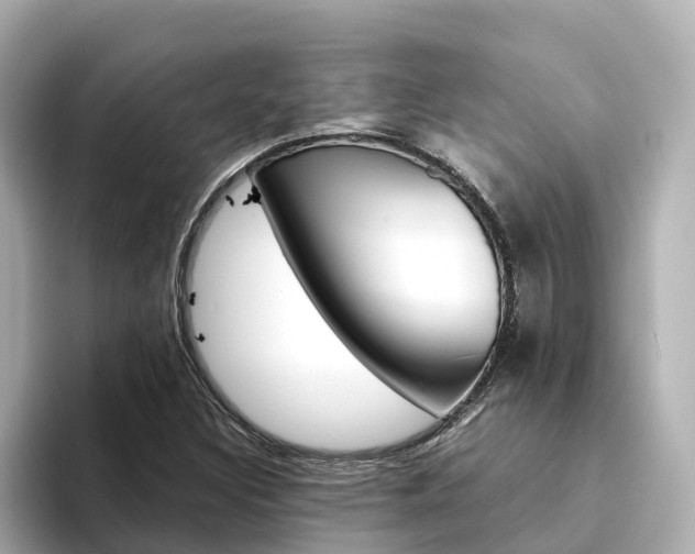 X0000094341308200711021142