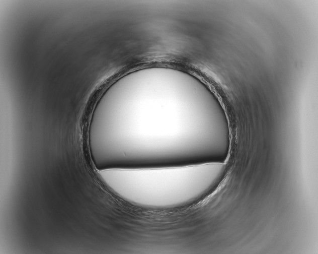 X0000094341309200711021142