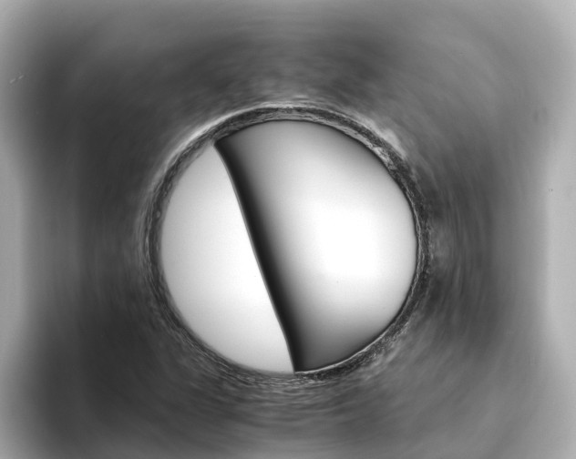 X0000094341311200711021142