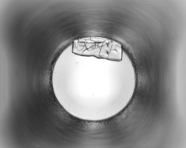 X0000094341314200711021142