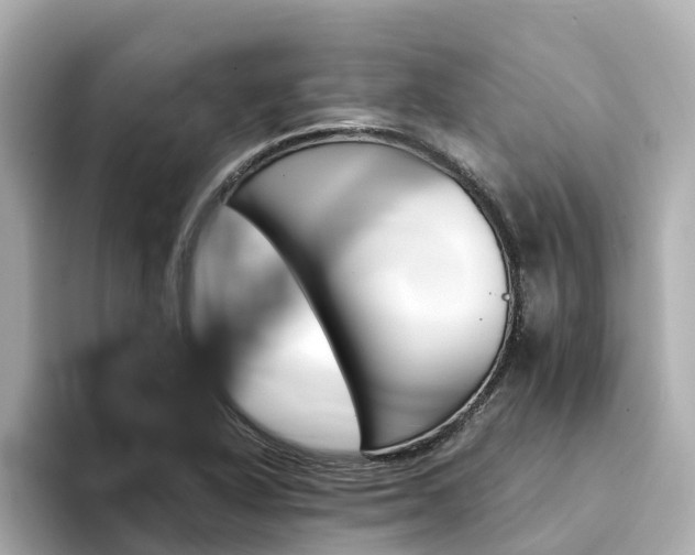 X0000094341318200711021142