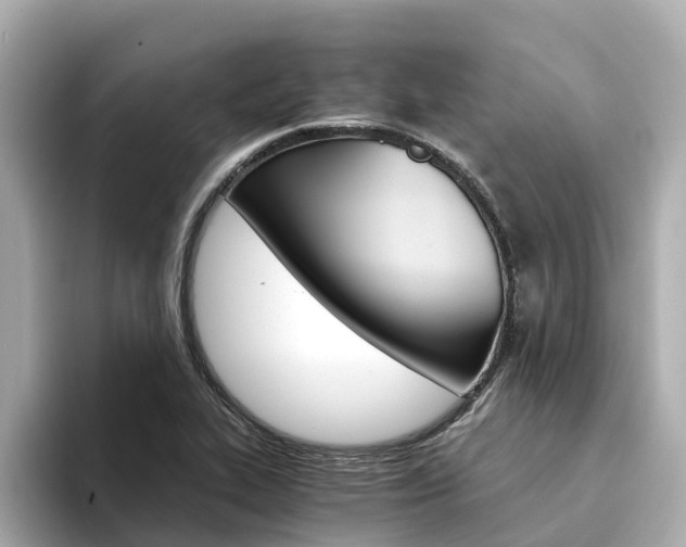 X0000094341319200711021142
