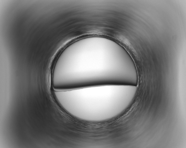 X0000094341323200711021142