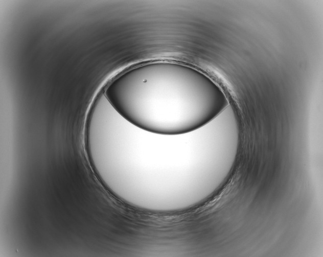 X0000094341324200711021142