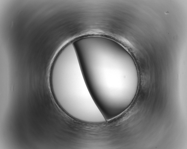 X0000094341326200711021142