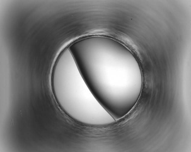 X0000094341328200711021142