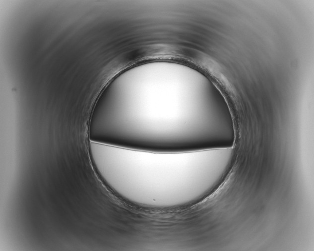 X0000094341329200711021142