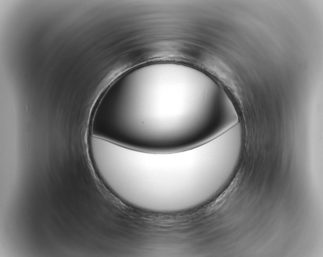 X0000094341330200711021142