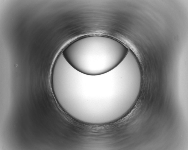 X0000094341332200711021142