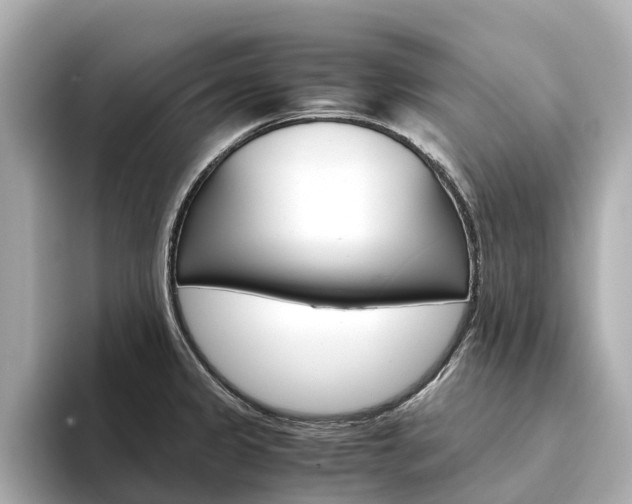 X0000094341333200711021142