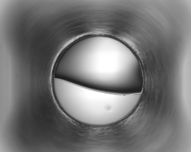 X0000094341335200711021142
