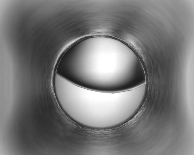 X0000094341336200711021142