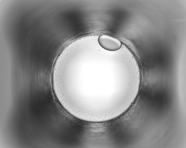 X0000094341338200711021142