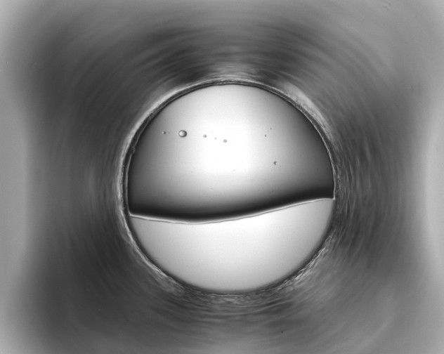X0000094341339200711021142
