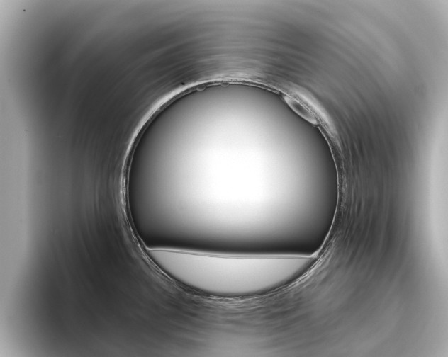 X0000094341340200711021142