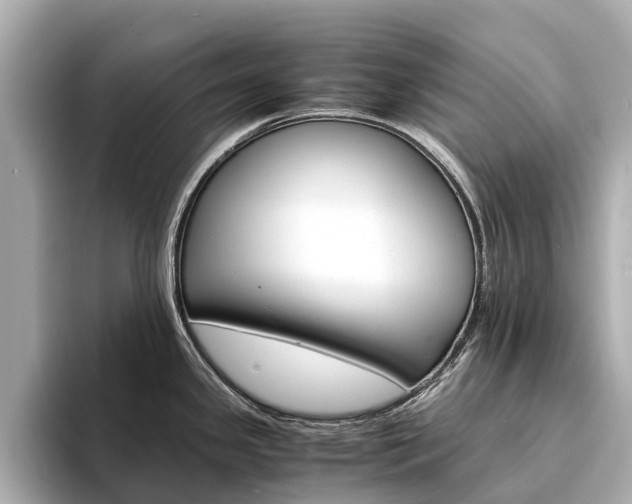 X0000094341341200711021142