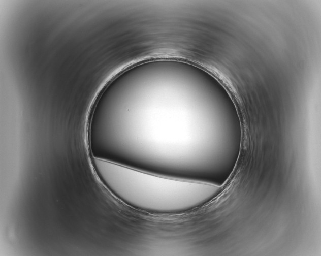 X0000094341342200711021142