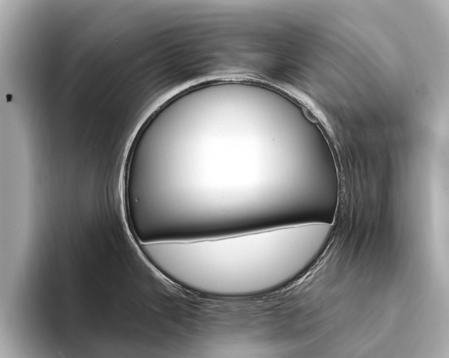 X0000094341343200711021142