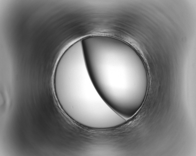 X0000094341344200711021142