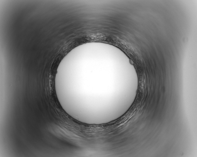X0000094341346200711021142
