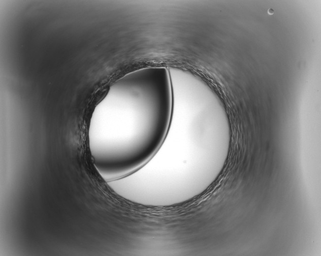 X0000094341349200711021142