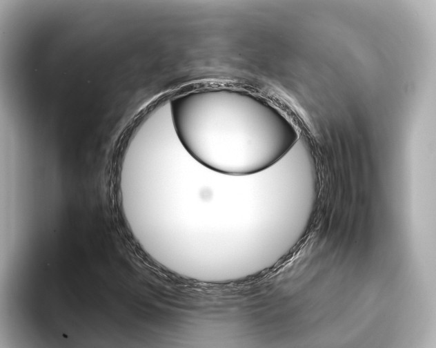 X0000094341352200711021142