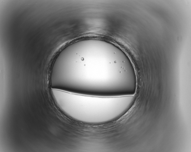 X0000094341355200711021141