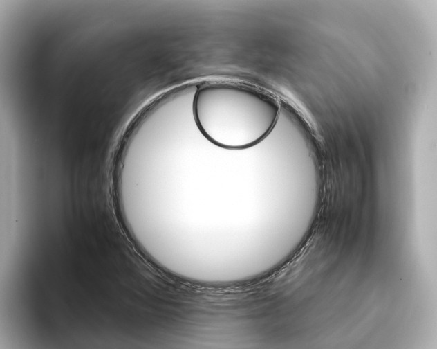 X0000094341360200711021141