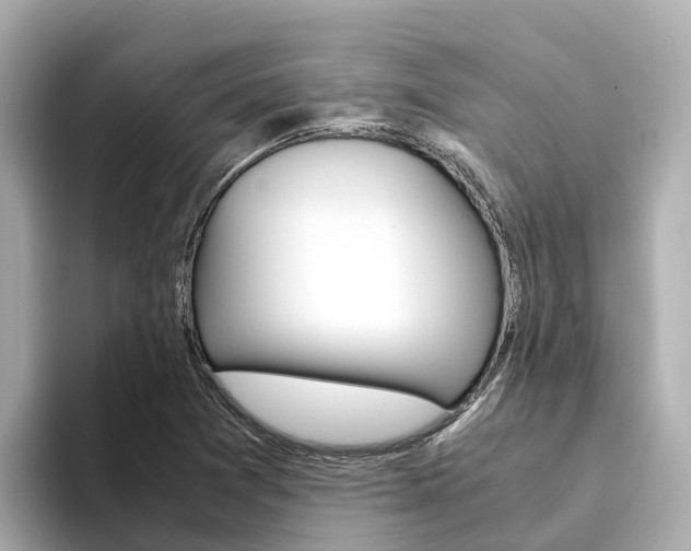 X0000094341361200711021141