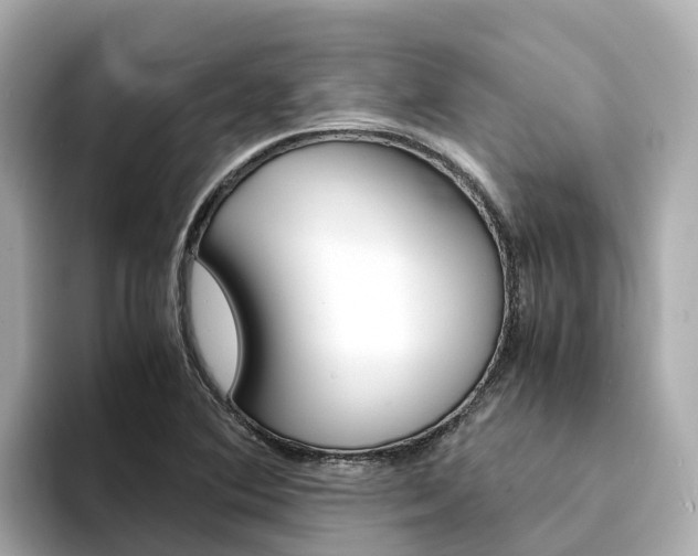 X0000094341364200711021141
