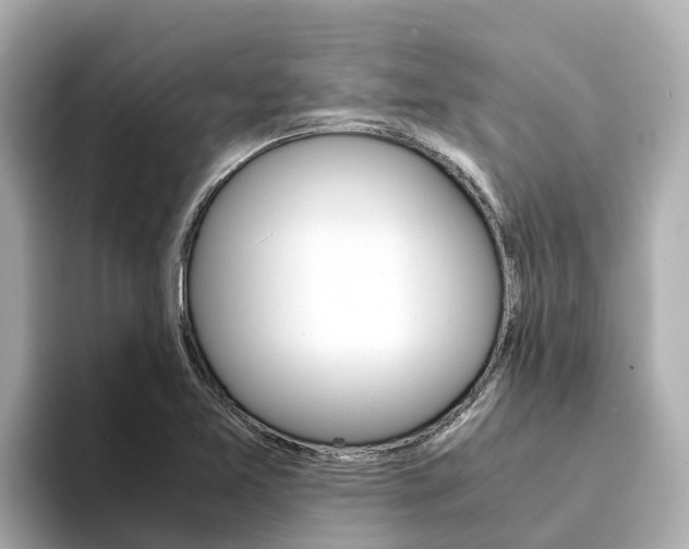X0000094341365200711021141