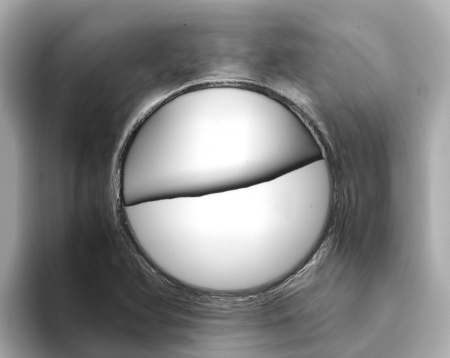 X0000094341366200711021141