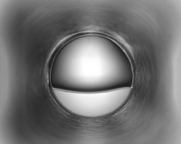 X0000094341368200711021141
