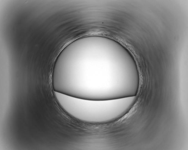 X0000094341369200711021141