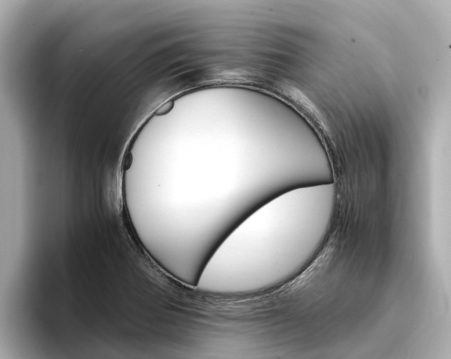 X0000094341370200711021141