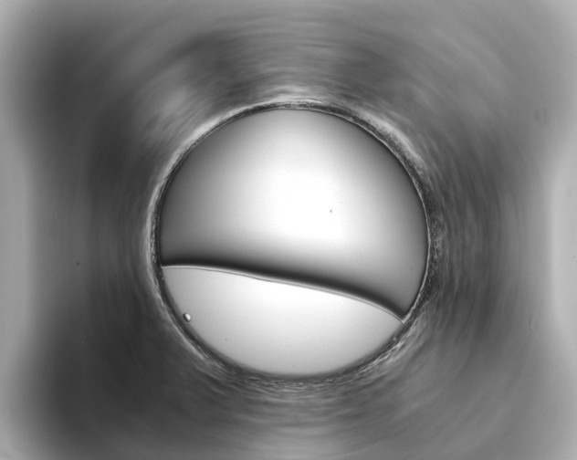 X0000094341375200711021141
