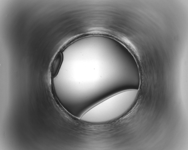 X0000094341376200711021141