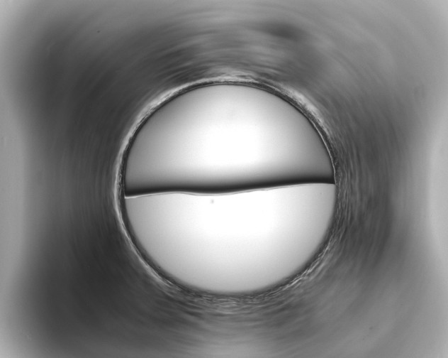 X0000094341379200711021141