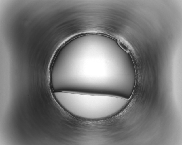 X0000094341380200711021141