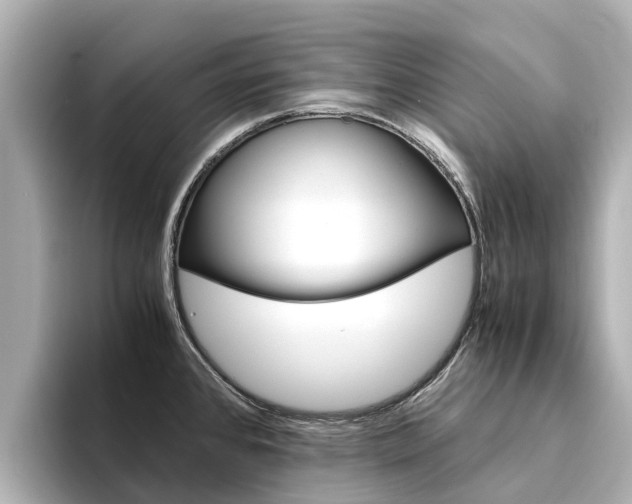 X0000094341384200711021141