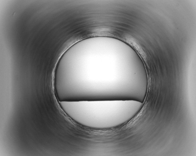 X0000094341386200711021141