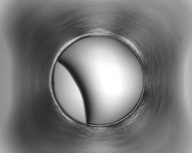 X0000094341387200711021141