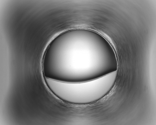 X0000094341389200711021141